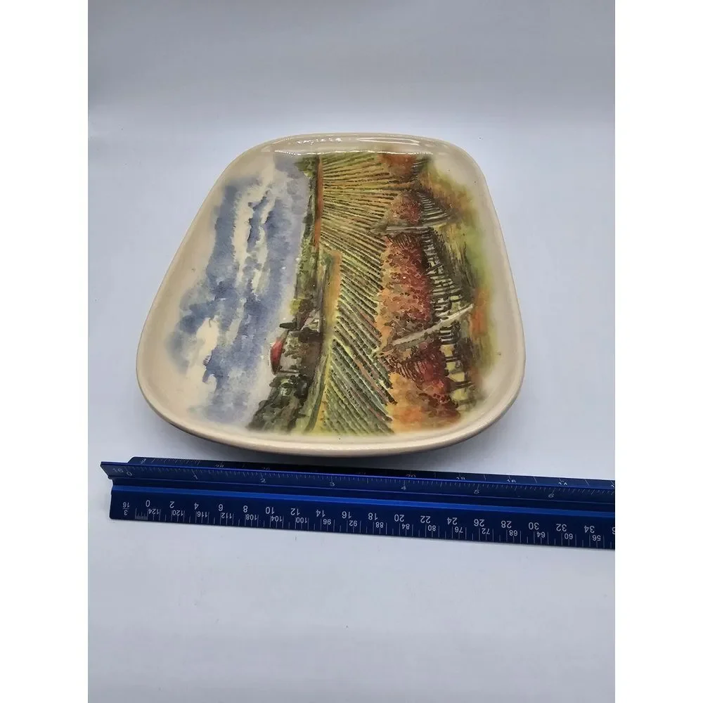Ceramisia Salad Serving Pasta‎ Tray Plate Italian Winery Scene Made In Italy